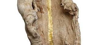 Seelenbaum | Eschenwurzel, Stahl und Blattgold  | Alles was ist, ist mit uns Menschen verwandt. So wie jeder von uns eine Seele in sich trägt, trägt sie auch jedes Lebewesen in sich – und jeder Baum. Seele und Körper, Natur und Mensch sollen durch den Seelenbaum wieder zueinander finden. Das Gold symbolisiert die Seele des Baumes, die gemeinsam mit der Wurzel (Körper) ein Ganzes ergibt. Der Seelenbaum lädt dazu ein, die Natur mit Respekt zu behandeln. So, als wäre sie mit uns seelenverwandt.