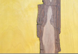 Mensch | Bild aus Nussholz auf eingefärbter Holzplatte  | H. 800 cm B. 450 cm